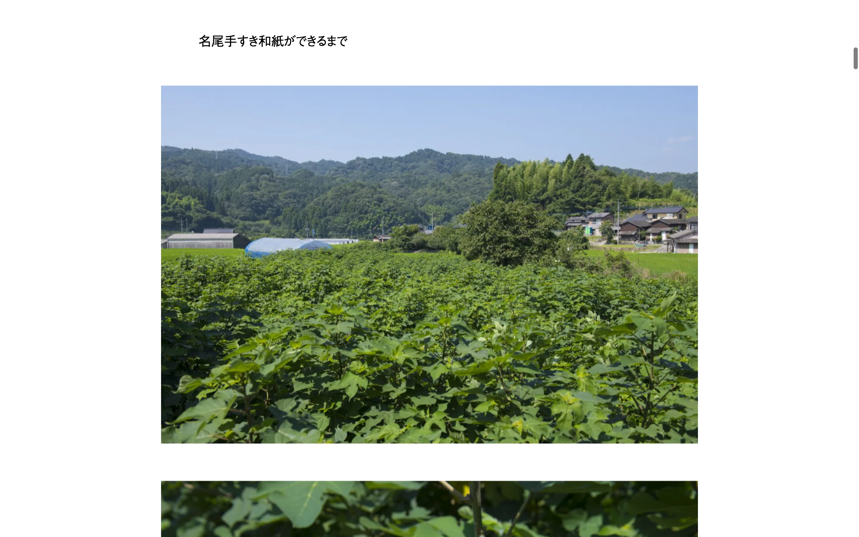 名尾手すき和紙