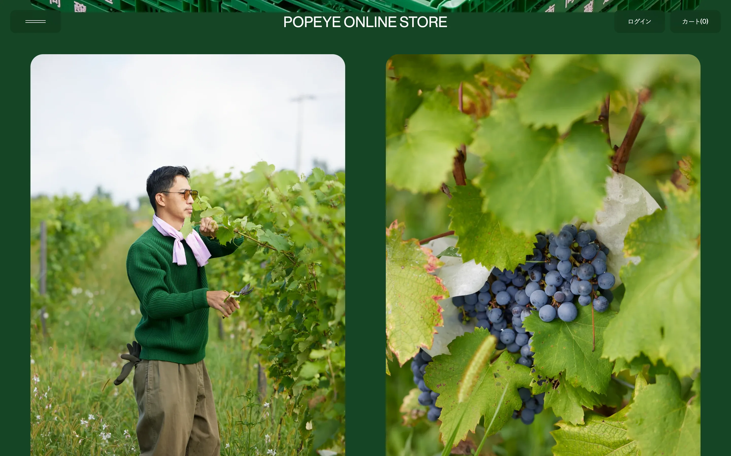POPEYE ONLINE STORE
